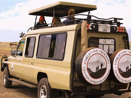 safari jeep image